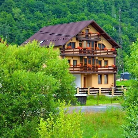 Отель Casa Vadeanu Сигету-Мармацией Экстерьер фото