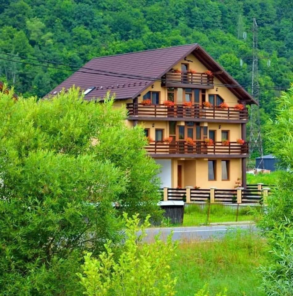 Отель Casa Vadeanu Сигету-Мармацией Экстерьер фото