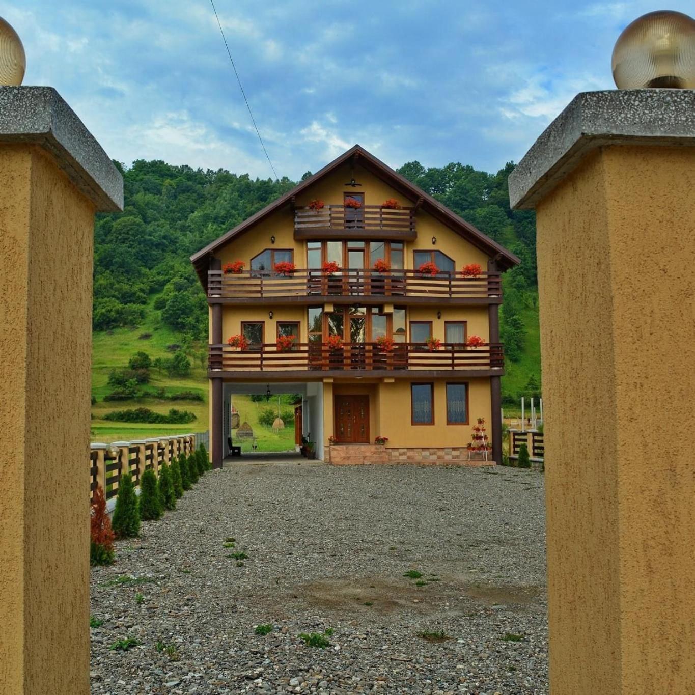 Отель Casa Vadeanu Сигету-Мармацией Экстерьер фото